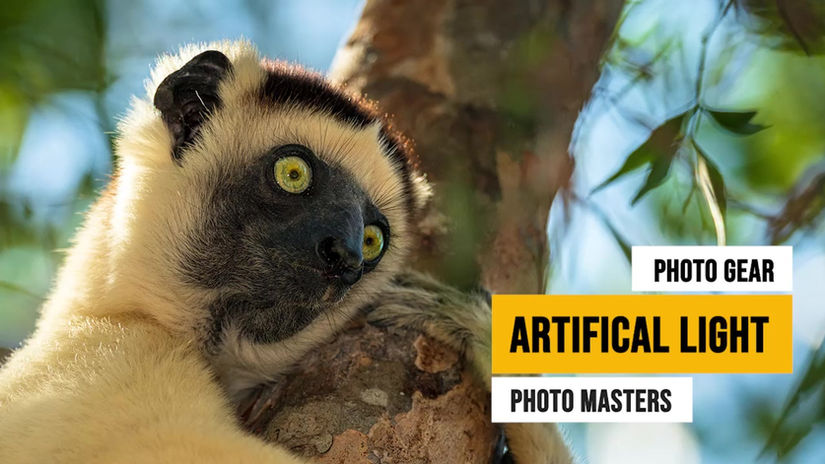 Artificial Light for Photography